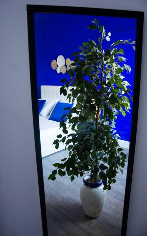 Ama Casa Διαμέρισμα Πίζα Εξωτερικό φωτογραφία